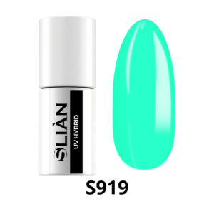 s919