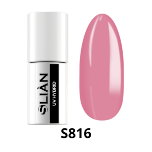 s816